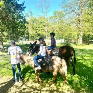 family day poney