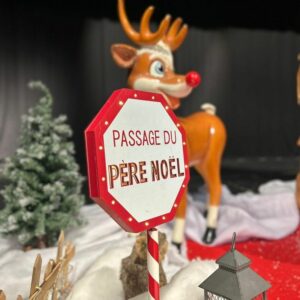 noel passage