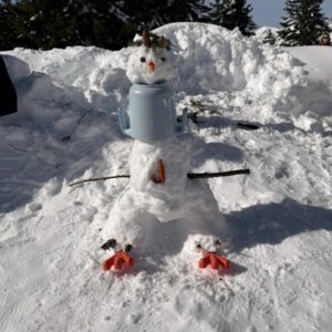 bonhomme neige